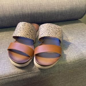 Animal Print Slides
